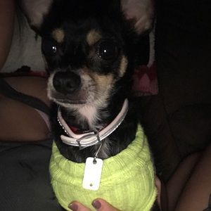 Meet your Posher, Bryanna